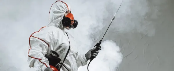 s-1166x482_v-fs_webp_78b0bc6d-4668-4b5a-a359-d22f6a9c82f4_small