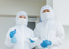 スクリーンショット 2024-11-06 101710